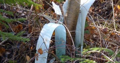 Verrottender Plastik versaut den Waldboden für Jahrhunderte